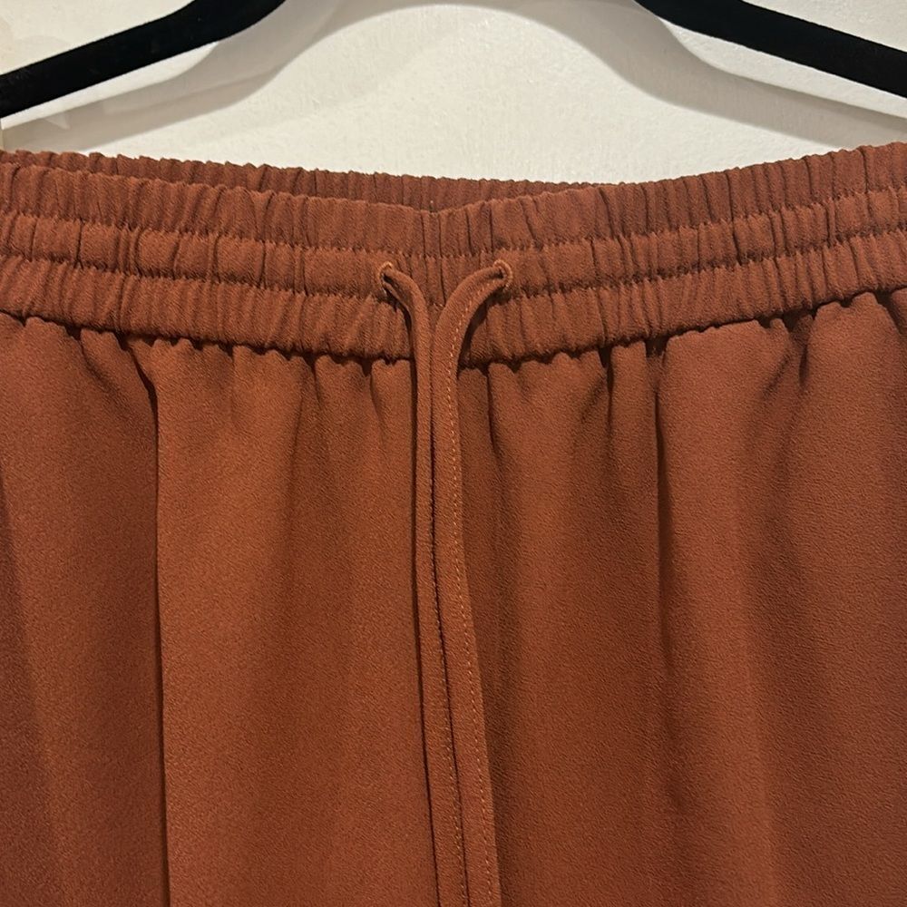Express Rust Color Jogger Pants - Size XS. - Picture 5 of 9